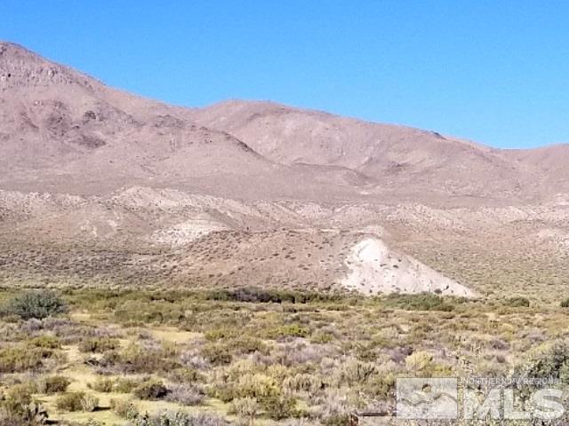 Tbd Charles Way Smith, NV 89430 - Photo 3 of 4 Photo 3