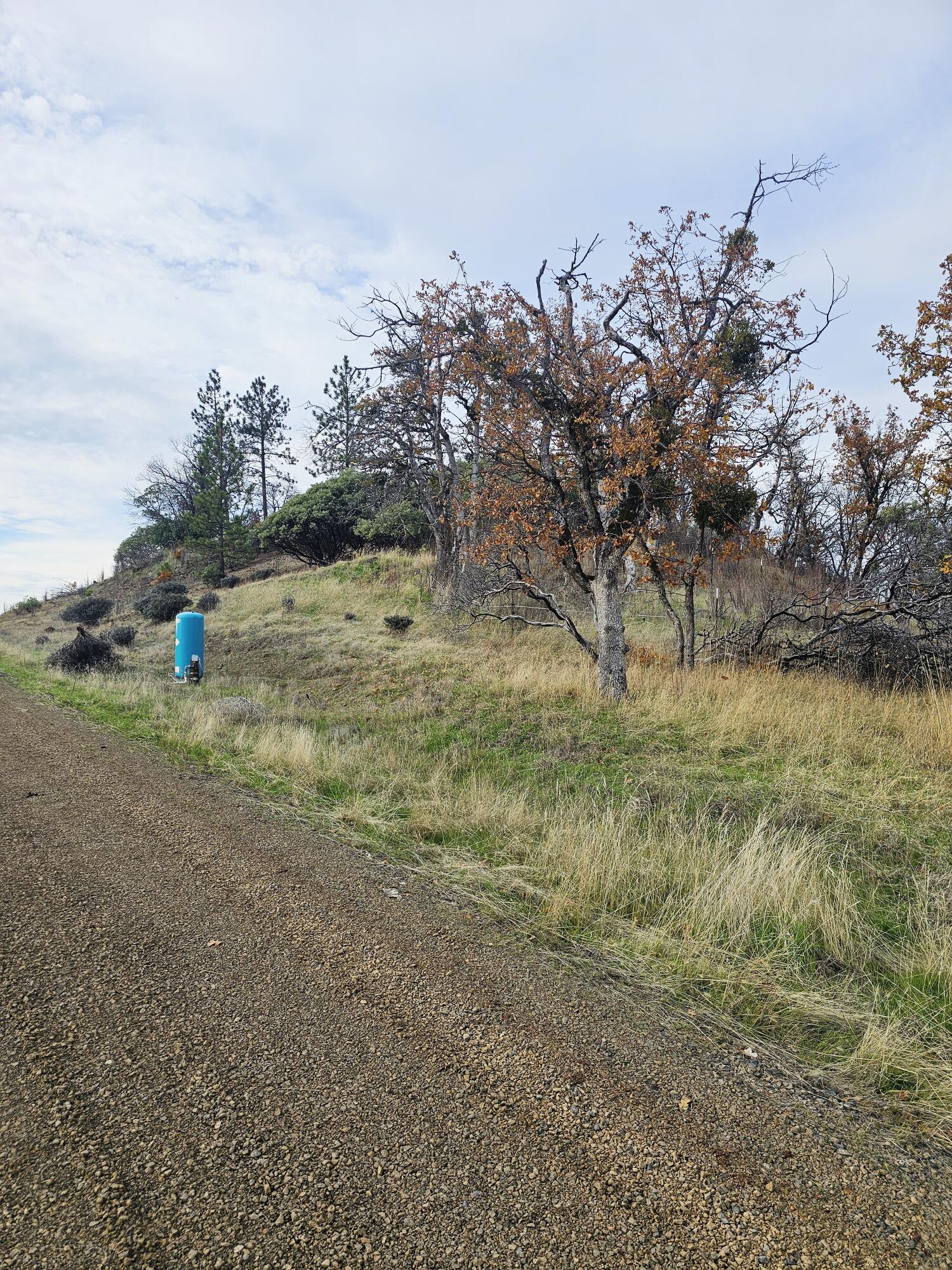 2162 Butte Falls Highway Eagle Point, OR 97524 - Photo 23 of 63 23 Driveway Up to Second Pad