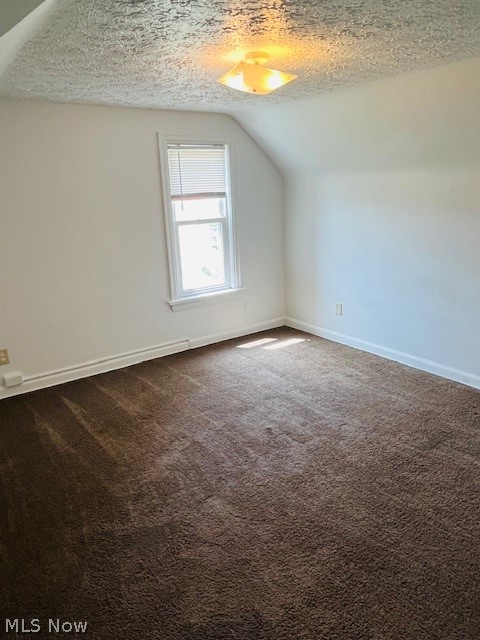 2918 9th Street Northwest Canton, OH 44708 - Photo 13 of 16 Additional living space featuring carpet floors, a textured ceiling, and vaulted ceiling