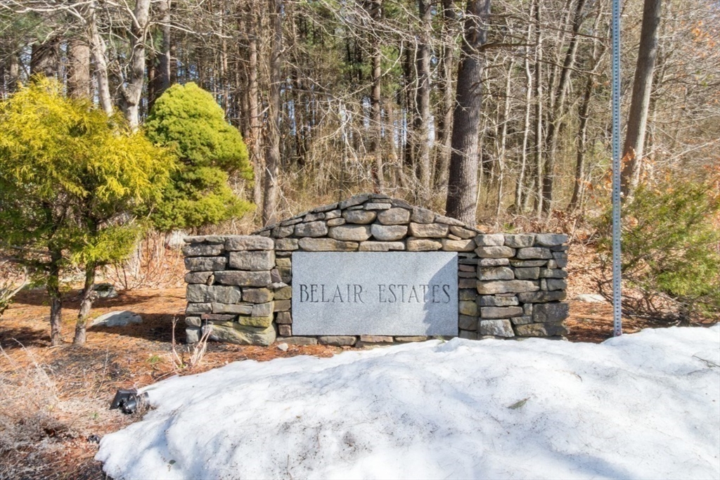 37 Reeds Lane Holbrook, MA 02343 - Photo 14 of 17