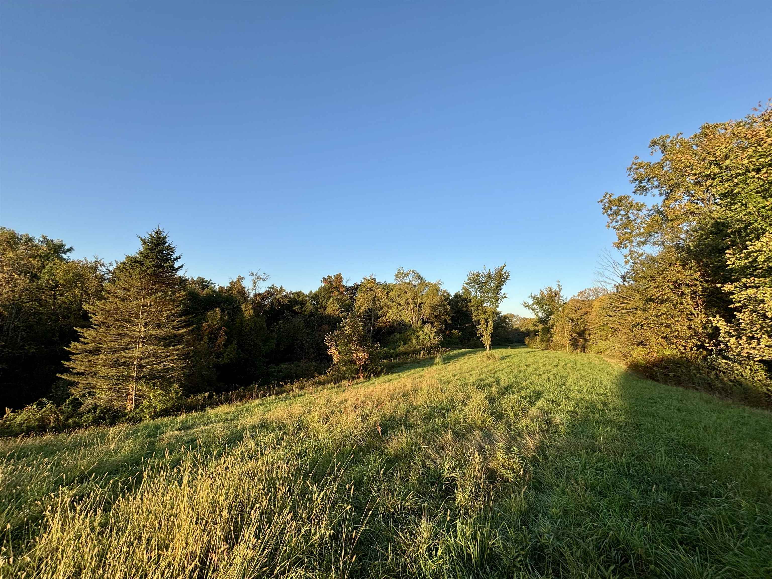 16168 Scenic Ridge Road Savanna, IL 61074 - Photo 59 of 75 Gallery Image 59