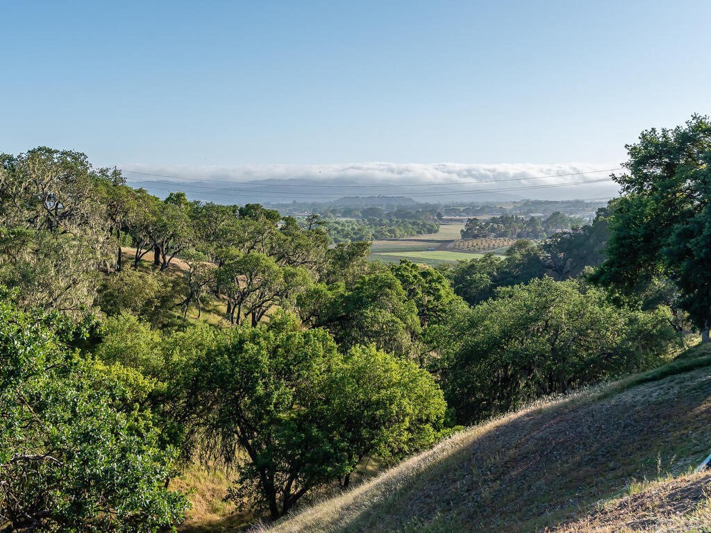 2197 Lake Ysabel Road Templeton, CA 93465 - Photo 35 of 52
