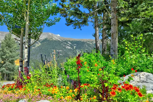 a view of a flower in a garden with a tree