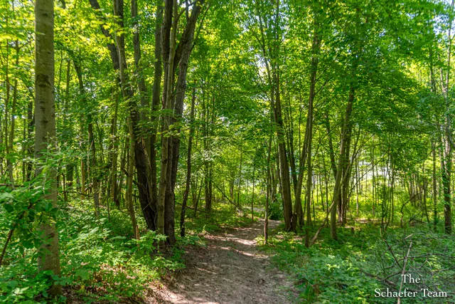 $210,000 | 8323 McArthur Avenue Northeast, Belding, MI 48809