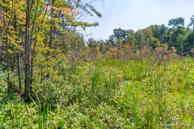 $210,000 | 8323 McArthur Avenue Northeast, Belding, MI 48809