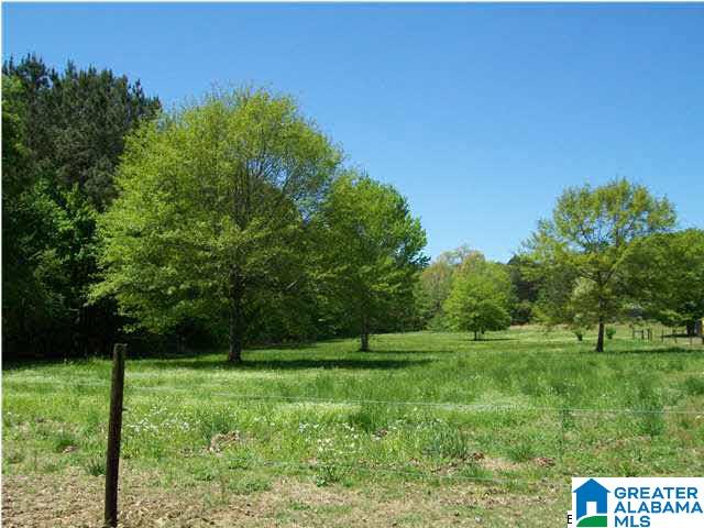 2543 Murphrees Valley Road Springville, AL 35146 - Photo 18 of 19 Gallery Image 18