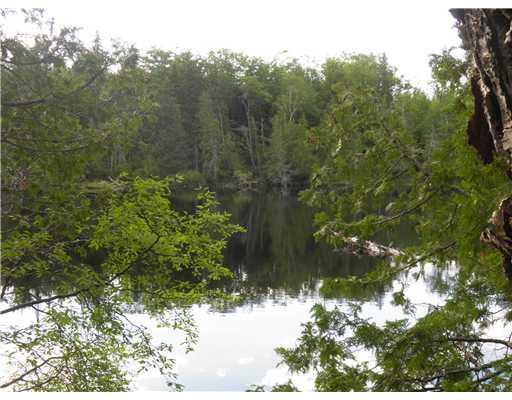 211 Dowell Mill Road Avon, ME 04966 - Photo 5 of 26 View. View to the pond.