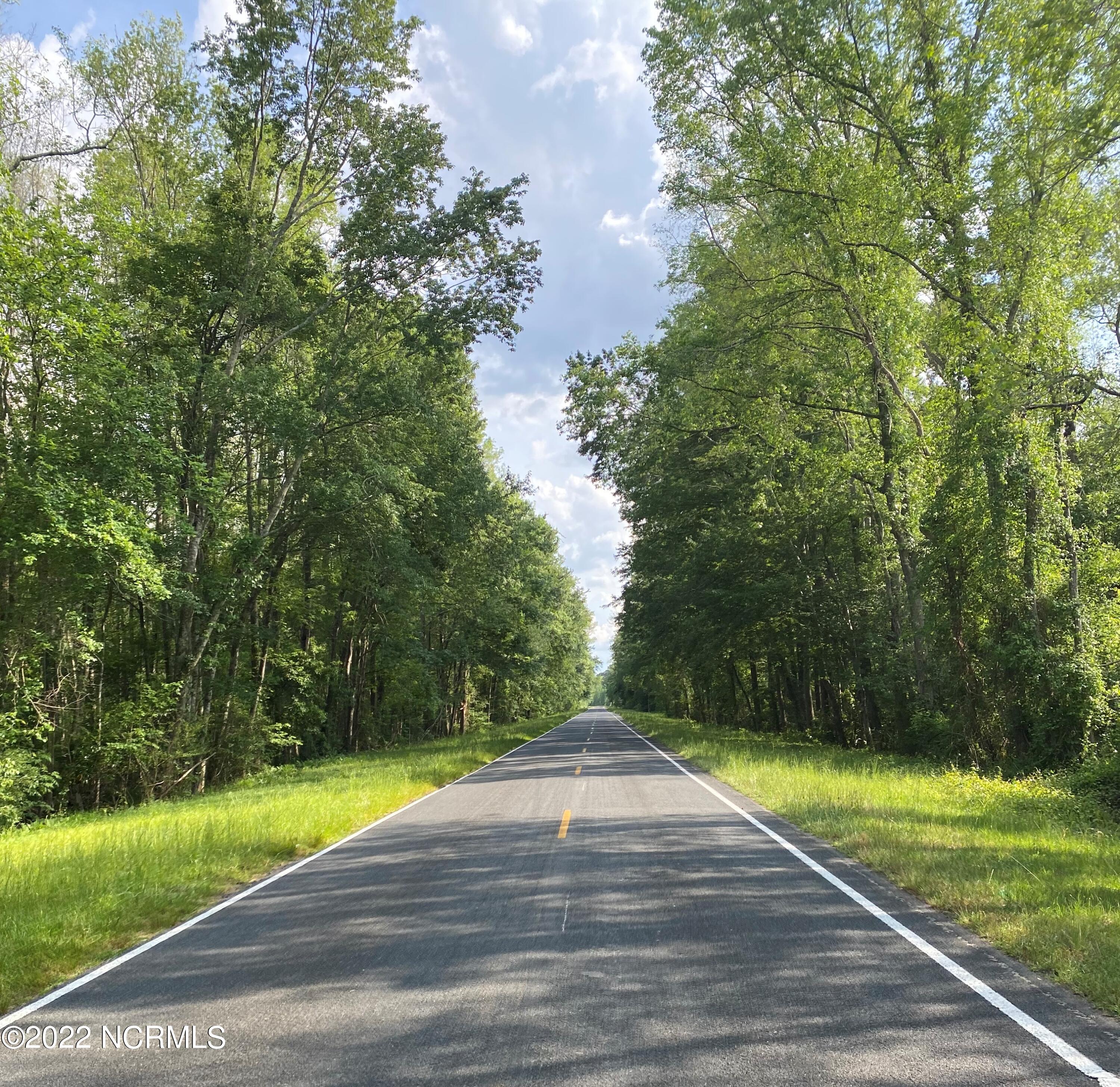 2 Homer Nance Road Evergreen, NC 28438 - Photo 2 of 17 IMG_7887