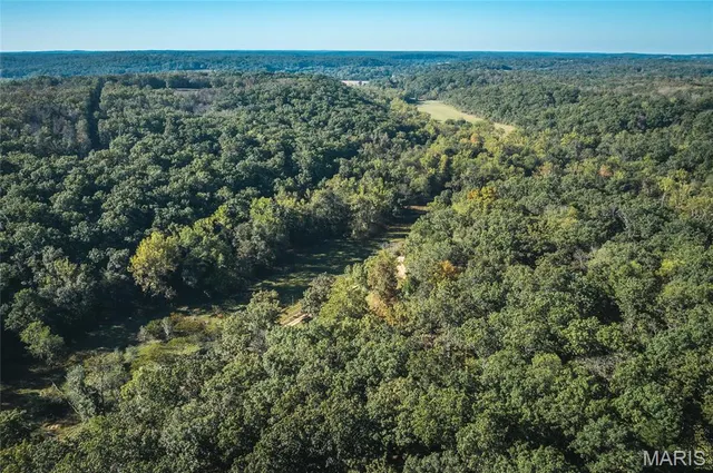 $315,000 | 13748 Private Drive 3625, St. James, MO 65559