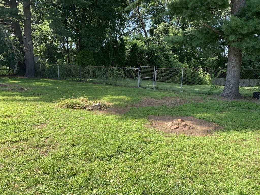 54 Fernald Street Springfield, MA 01109 - Photo 13 of 13 a view of a park