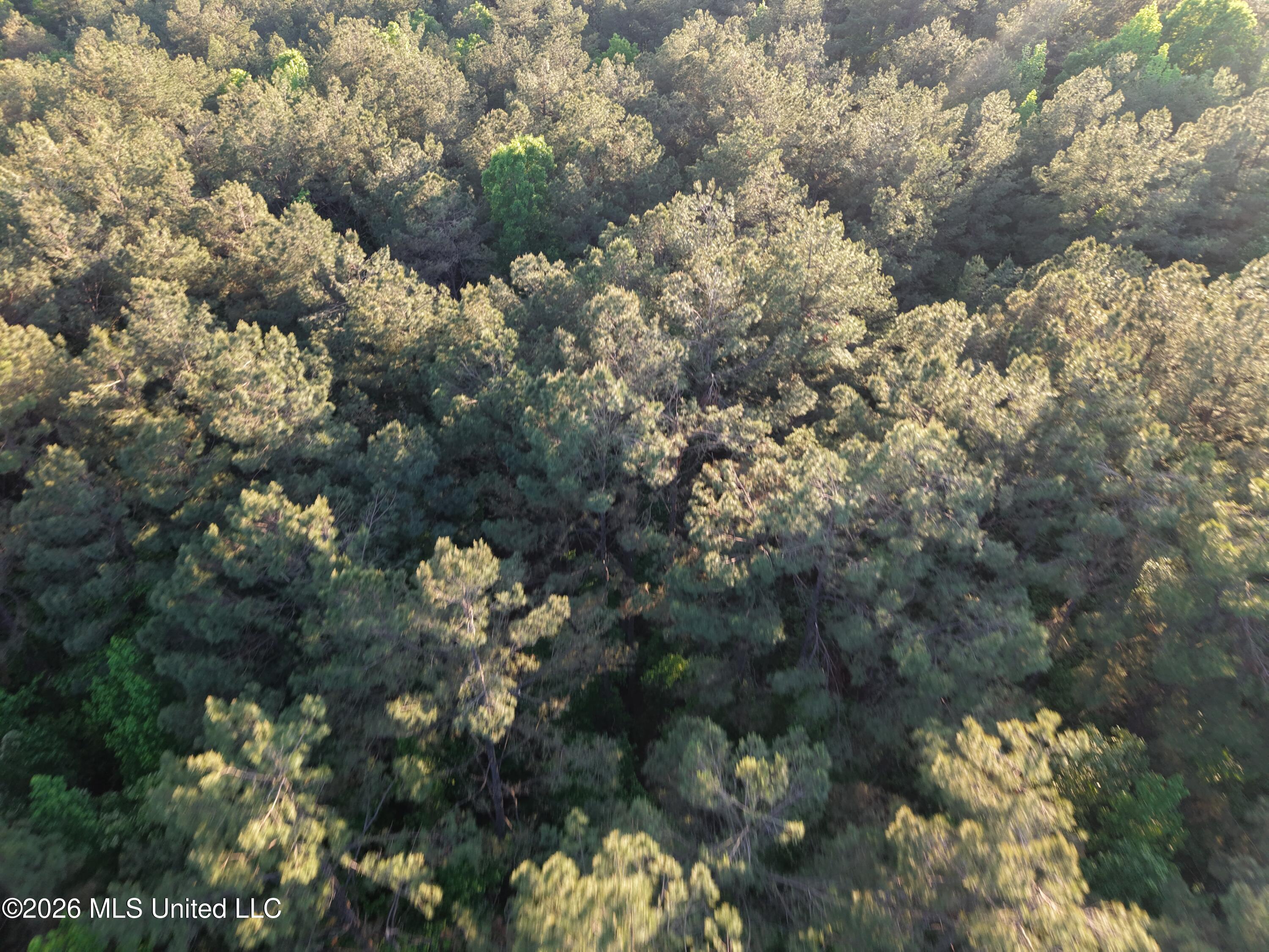 Stewart Weir Road Stewart, MS 39767 - Photo 21 of 28 42.5 Choctaw 9