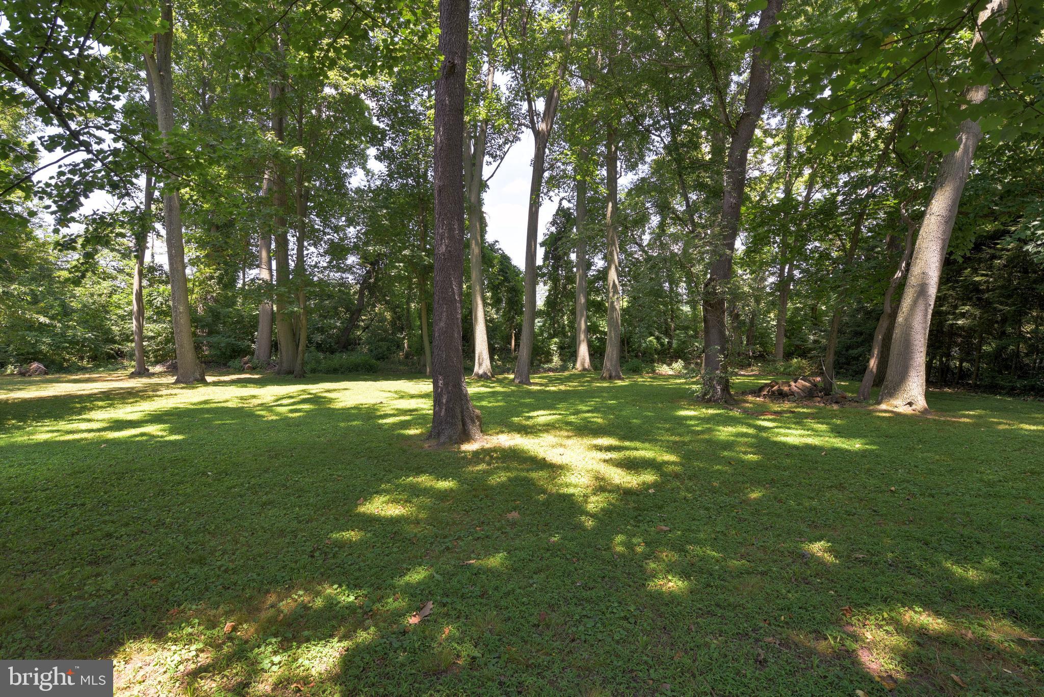 706 River Road Ewing, NJ 08628 - Photo 36 of 47 Backyard