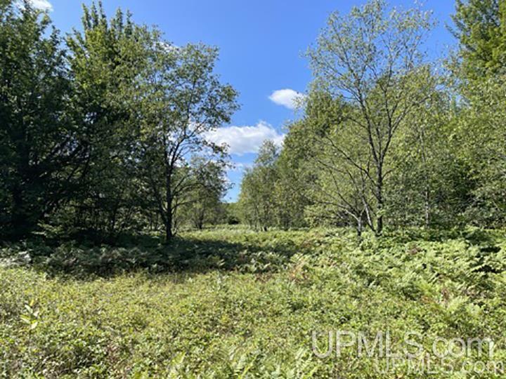 220 W Ford Lake Road Germfask, MI 49836 - Photo 15 of 26