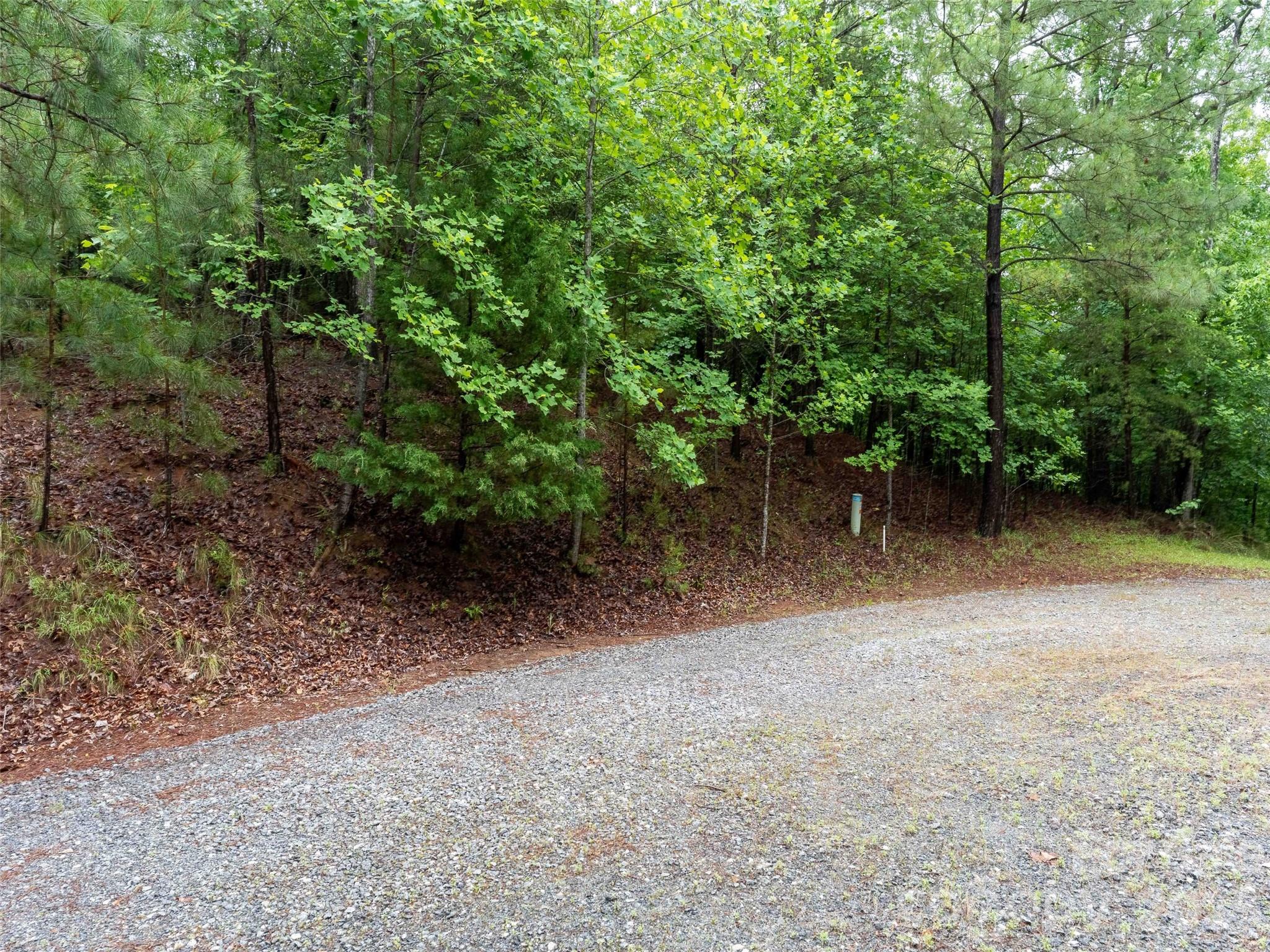 0 Bee Gee Drive Rutherfordton, NC 28139 - Photo 6 of 26