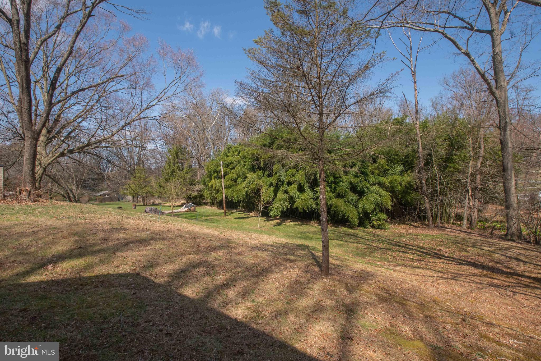 804 Stone Barn Road Towson, MD 21286 - Photo 39 of 40 Trees border property line