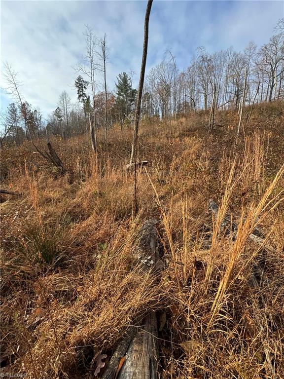 Tbd Old Railroad Grade Road Thurmond, NC 28683 - Photo 18 of 26