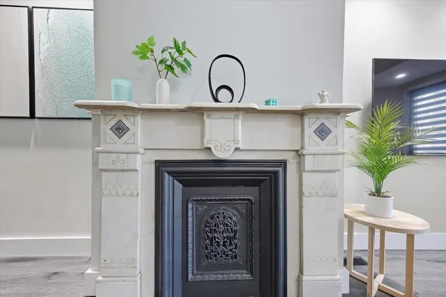 a close view of a kitchen with a sink and a potted plant