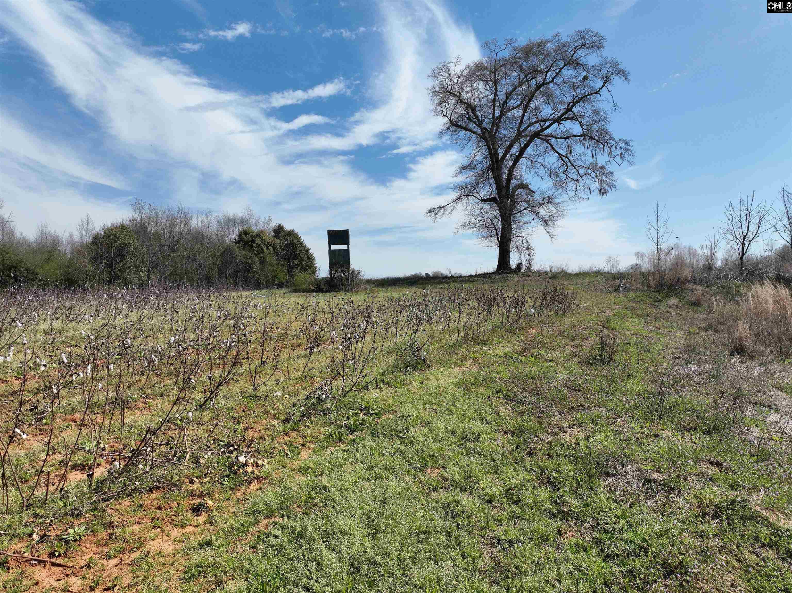 0 Dr Boylston Road Salley, SC 29137 - Photo 30 of 41