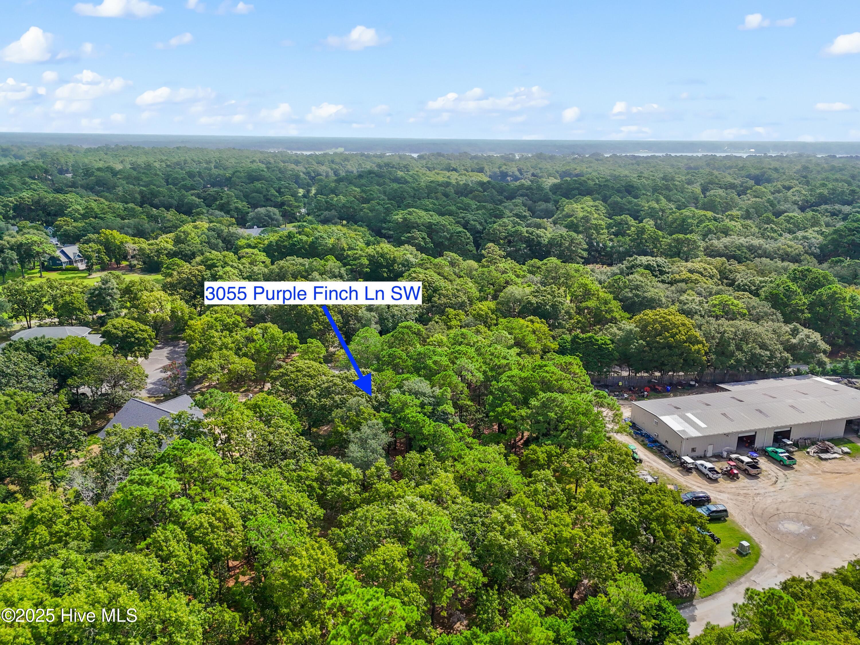 3055 Purple Finch Lane Southwest Supply, NC 28462 - Photo 8 of 9 3055PurpleFinchLnSW - 16