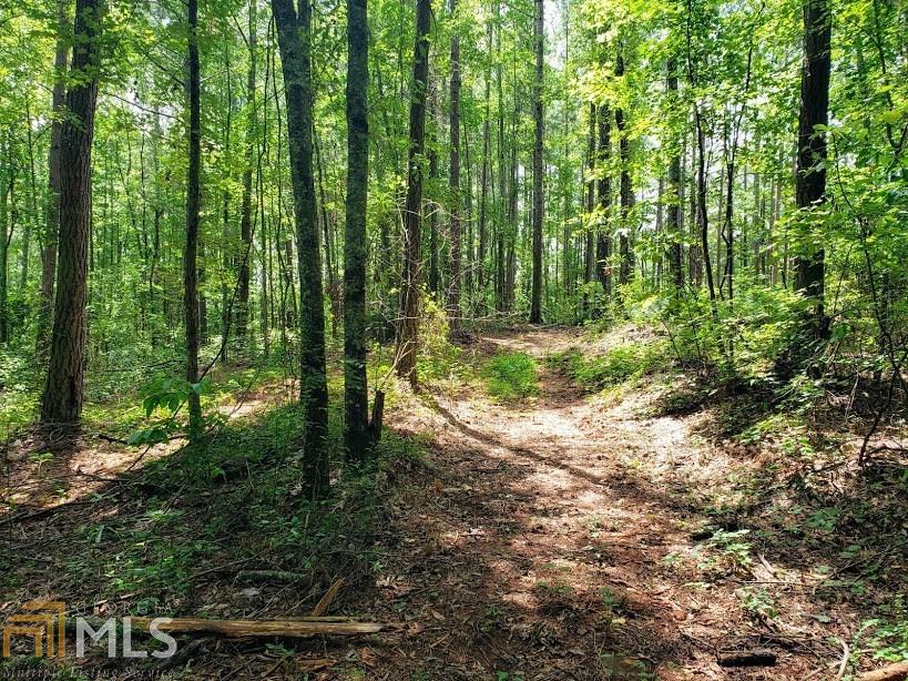 0 Holly Road Bowdon, GA 30108 - Photo 1 of 1