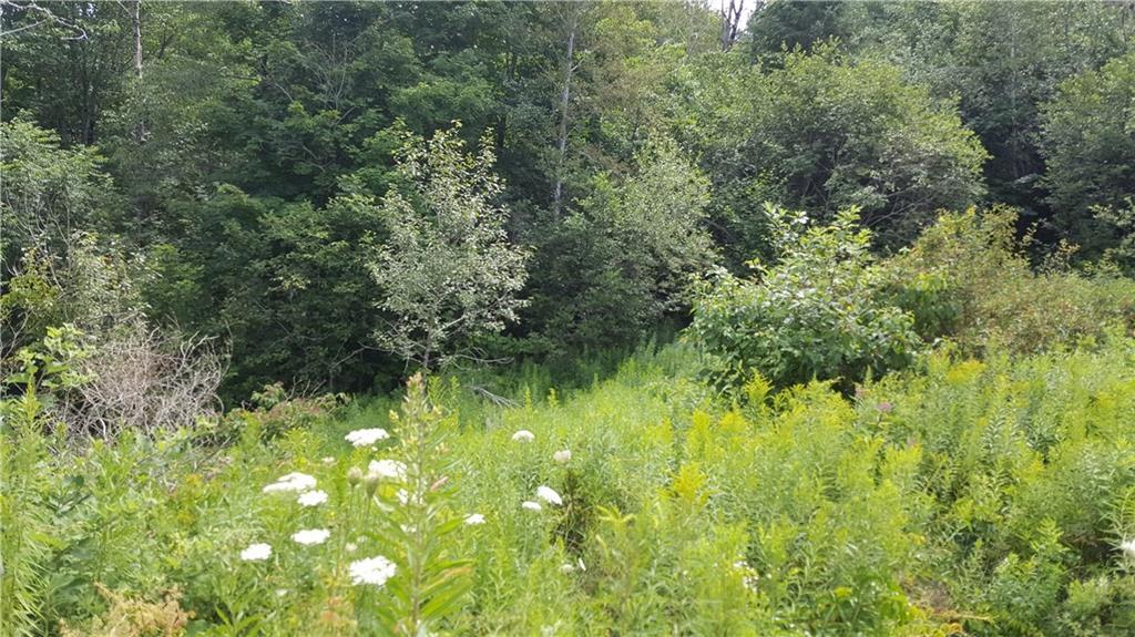 8 Mill Hill Road Springfield, ME 04487 - Photo 23 of 23 yard