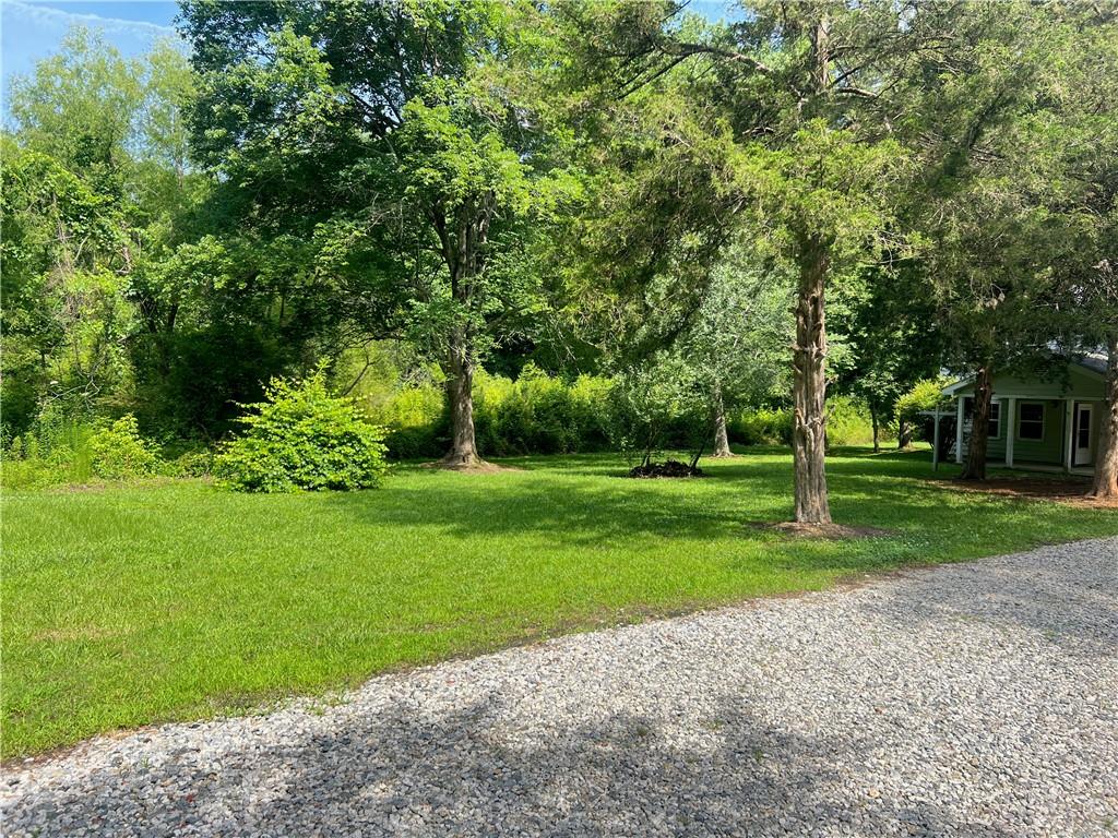 340 Womack Avenue Dallas, GA 30157 - Photo 29 of 29 a view of a park with large trees