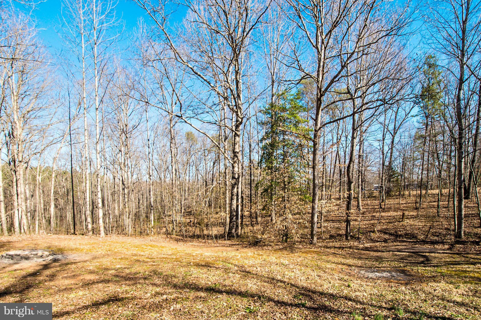 32215 Wilderness Farms Road Locust Grove, VA 22508 - Photo 26 of 27 Exterior (Rear)