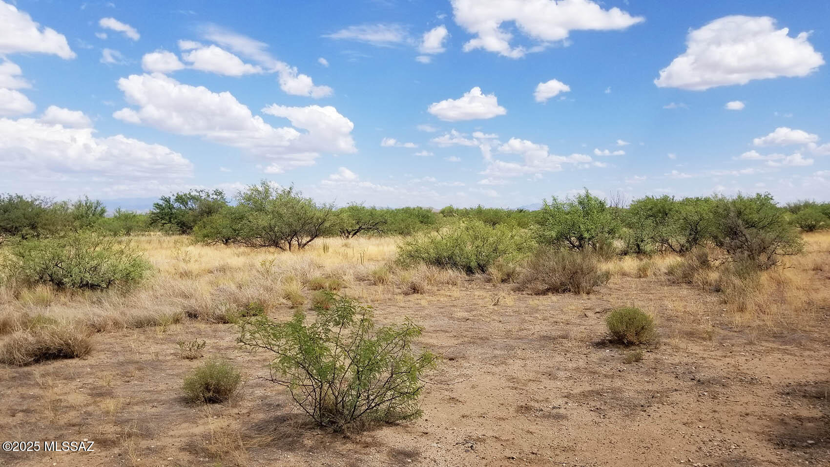 1-acre West Birch Road, Unit 3 Cochise, AZ 85606 - Photo 9 of 9