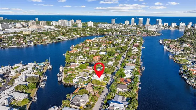 a bunch of flowers sitting in a shelf