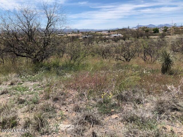 1006 Calle Cumpas, Unit 60 Rio Rico, AZ 85648 - Photo 1 of 3