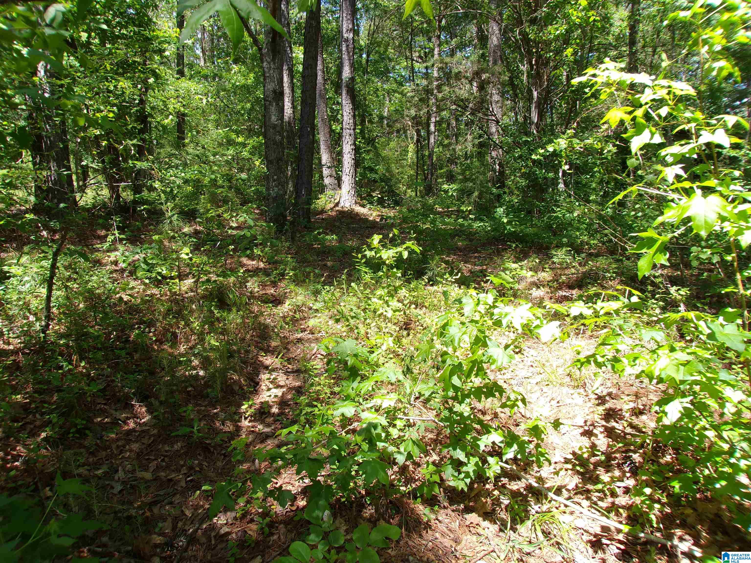1 St Mary Road South, Unit 1 Lincoln, AL 35096 - Photo 4 of 23