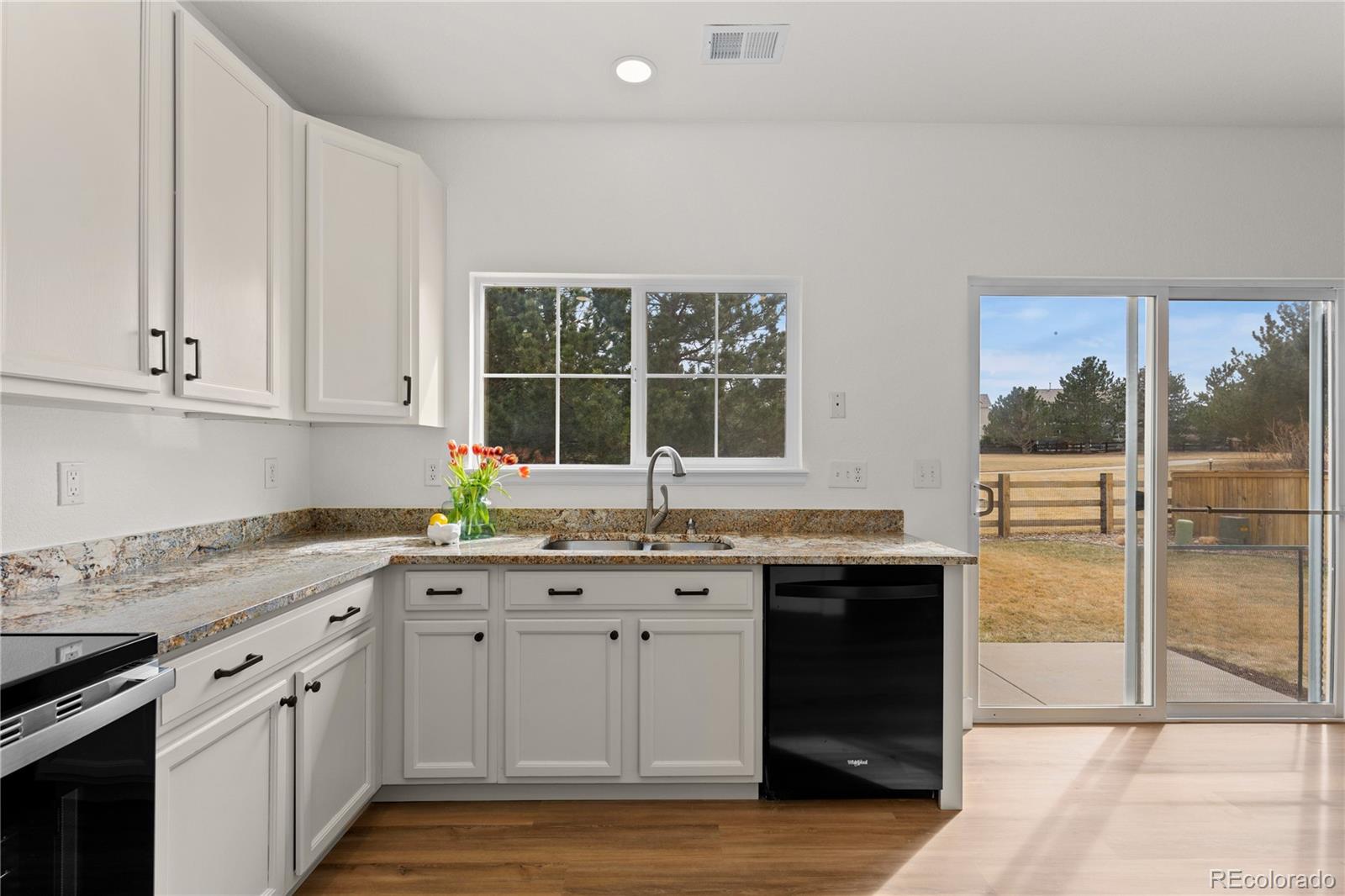 9300 Longstone Drive Parker, CO 80134 - Photo 9 of 45