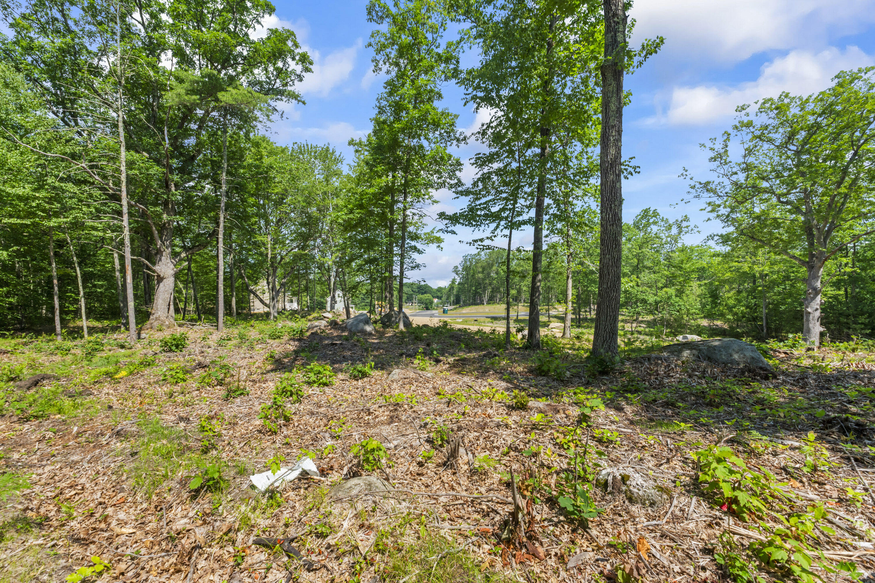 Tbd Tbd Ridge Terrace, Unit LOT 6 North Berwick, ME 03906 - Photo 19 of 21 Lot 6 Sand Ridge, North Berwick