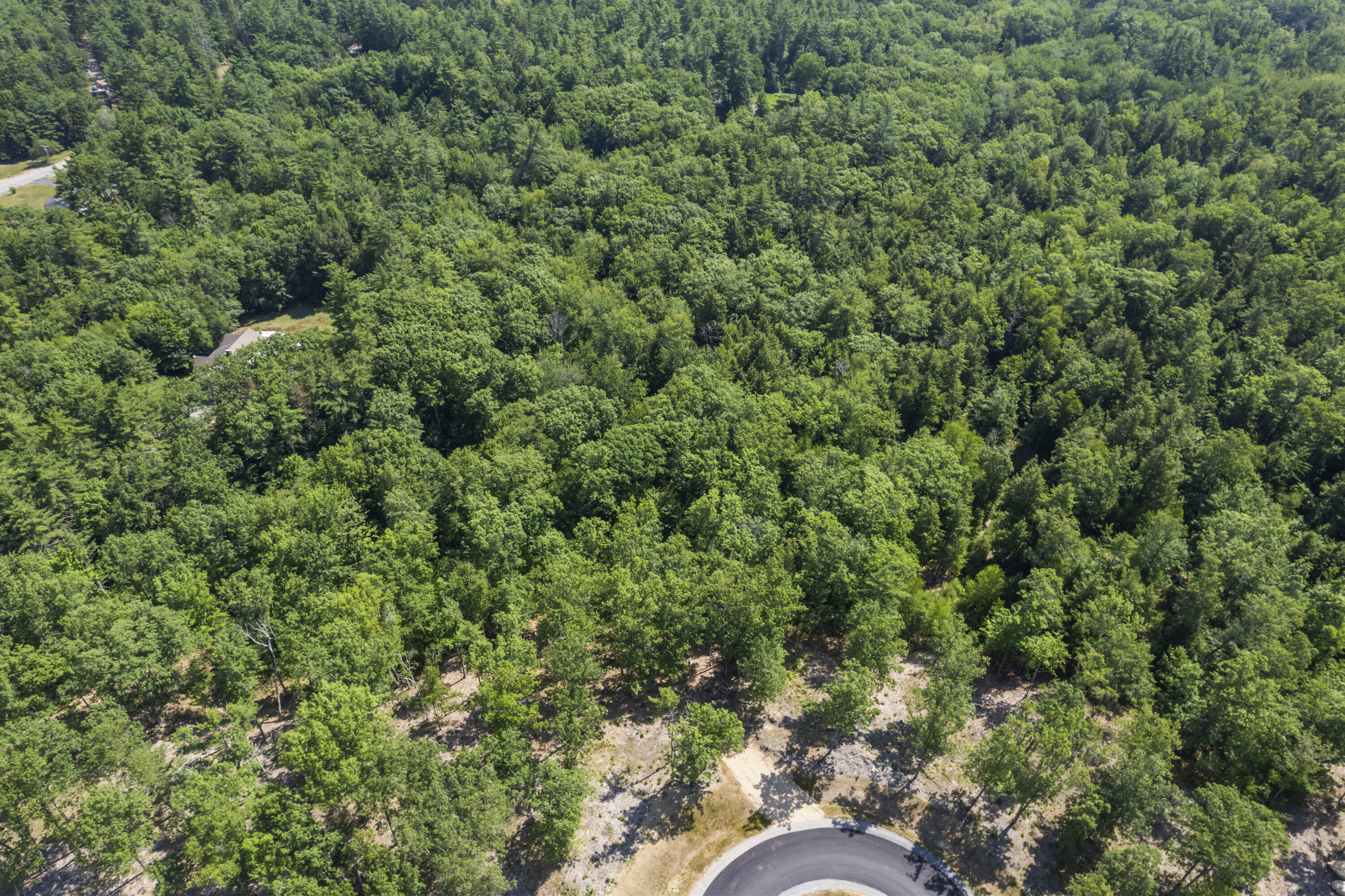 Tbd Tbd Ridge Terrace, Unit LOT 6 North Berwick, ME 03906 - Photo 6 of 21 Sand Ridge Farm_0209