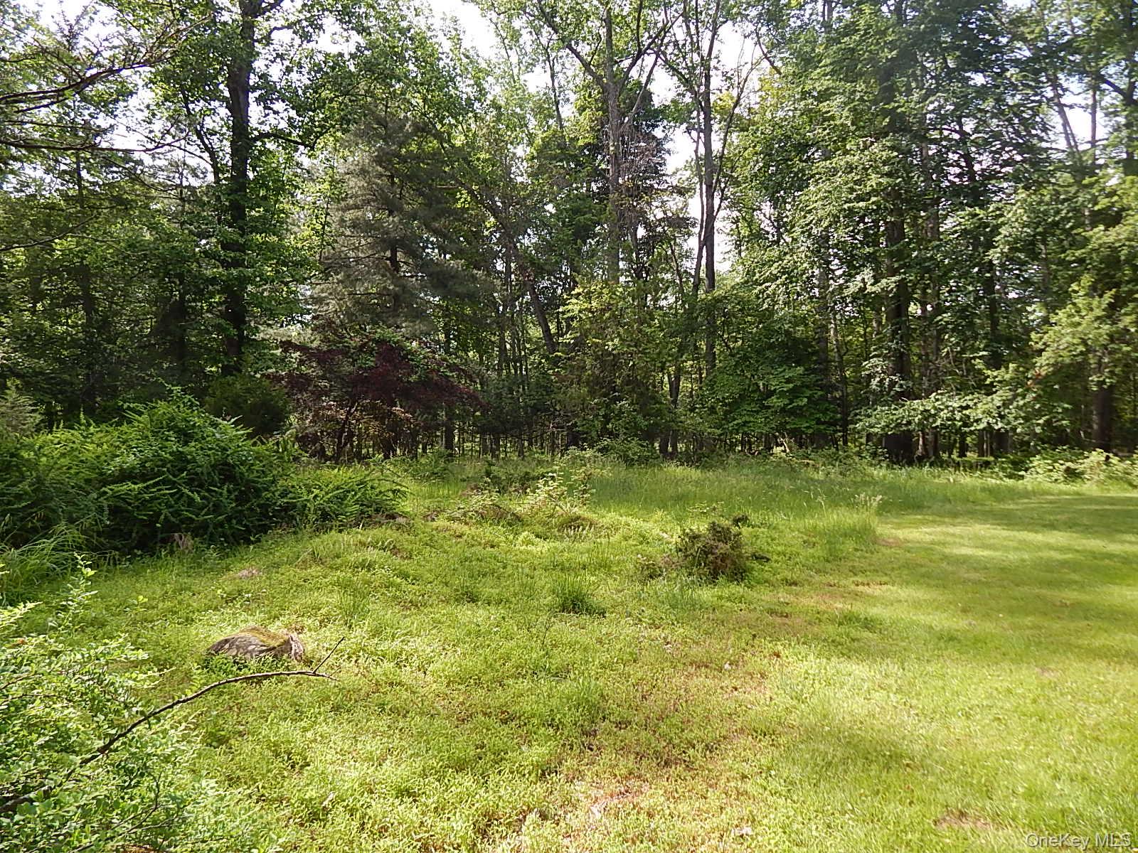 15 River Rise Road New City, NY 10956 - Photo 8 of 8