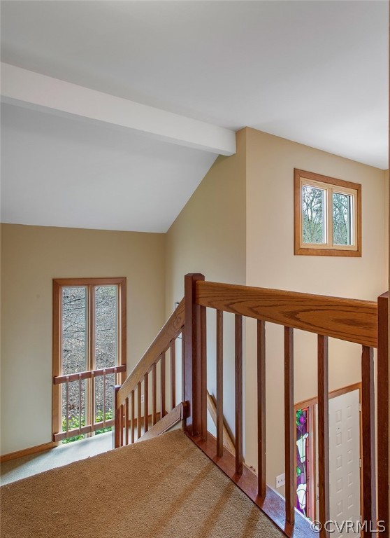 3020 Middlewood Road Midlothian, VA 23113 - Photo 22 of 41