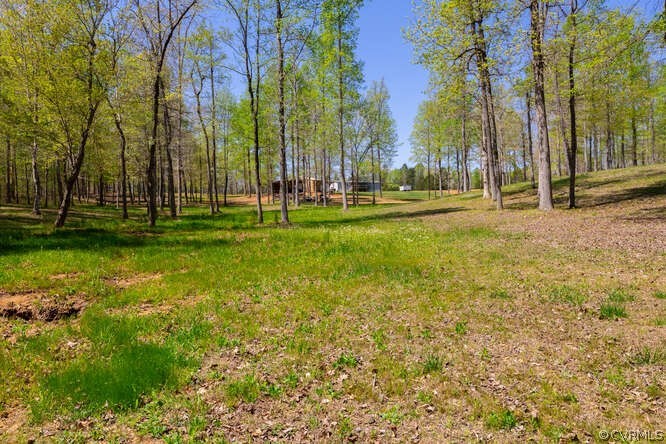 1680 Battes Road Green Bay, VA 23942 - Photo 31 of 38 a view of a park with large trees