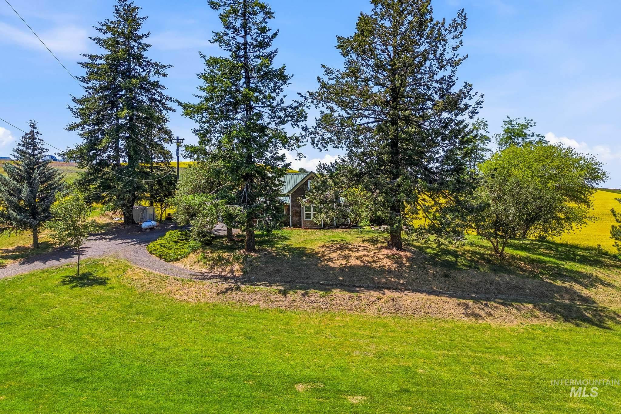 1185 Paradise Ridge Road Moscow, ID 83843 - Photo 36 of 38