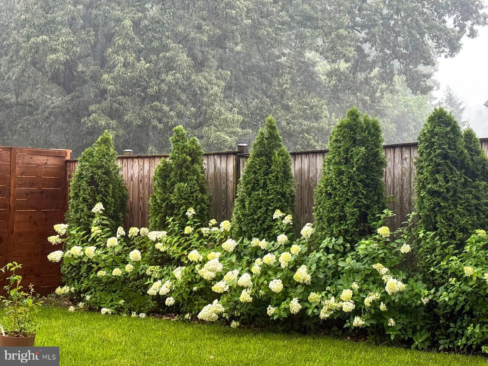 3306 Pendleton Drive Silver Spring, MD 20902 - Photo 42 of 44