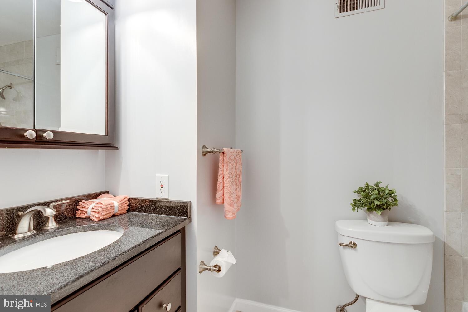 8928 Applecross Lane Springfield, VA 22153 - Photo 41 of 60 Gallery Image 41