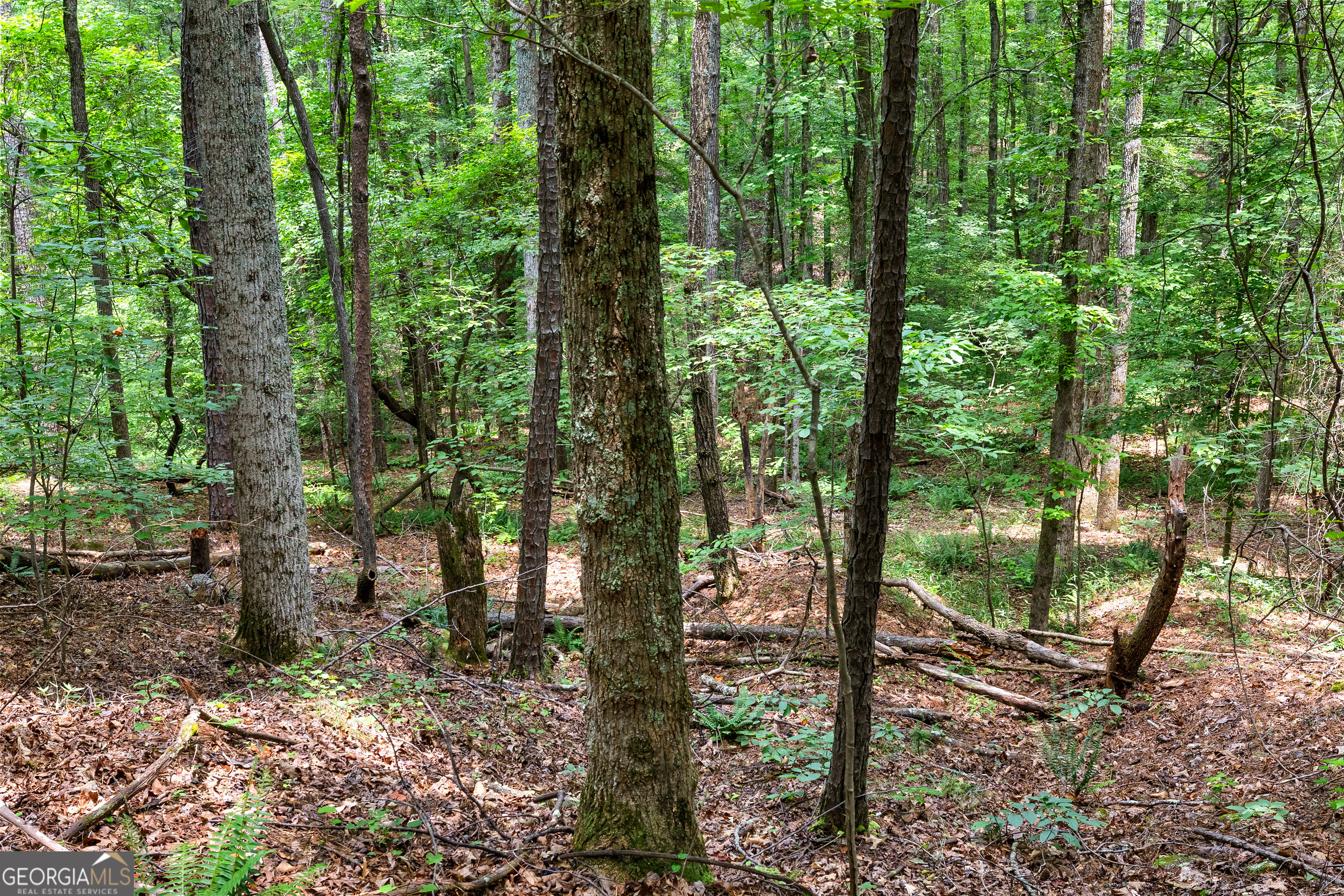 0 Terry Road Fairburn, GA 30213 - Photo 12 of 22