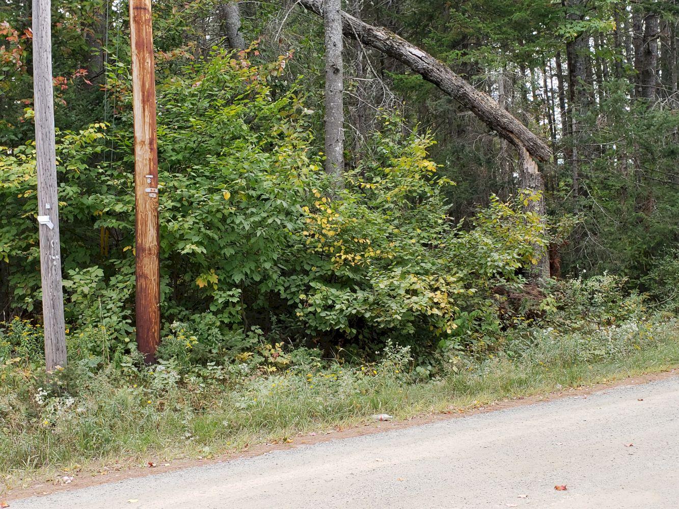 Four 4 Mile Square Road Anson, ME 04911 - Photo 1 of 12 1 Ad Photo