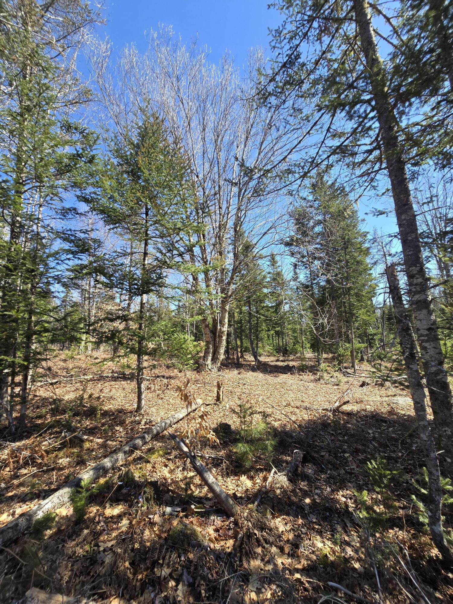 0 Chadbourne Road Harmony, ME 04942 - Photo 16 of 22 20260408_140516