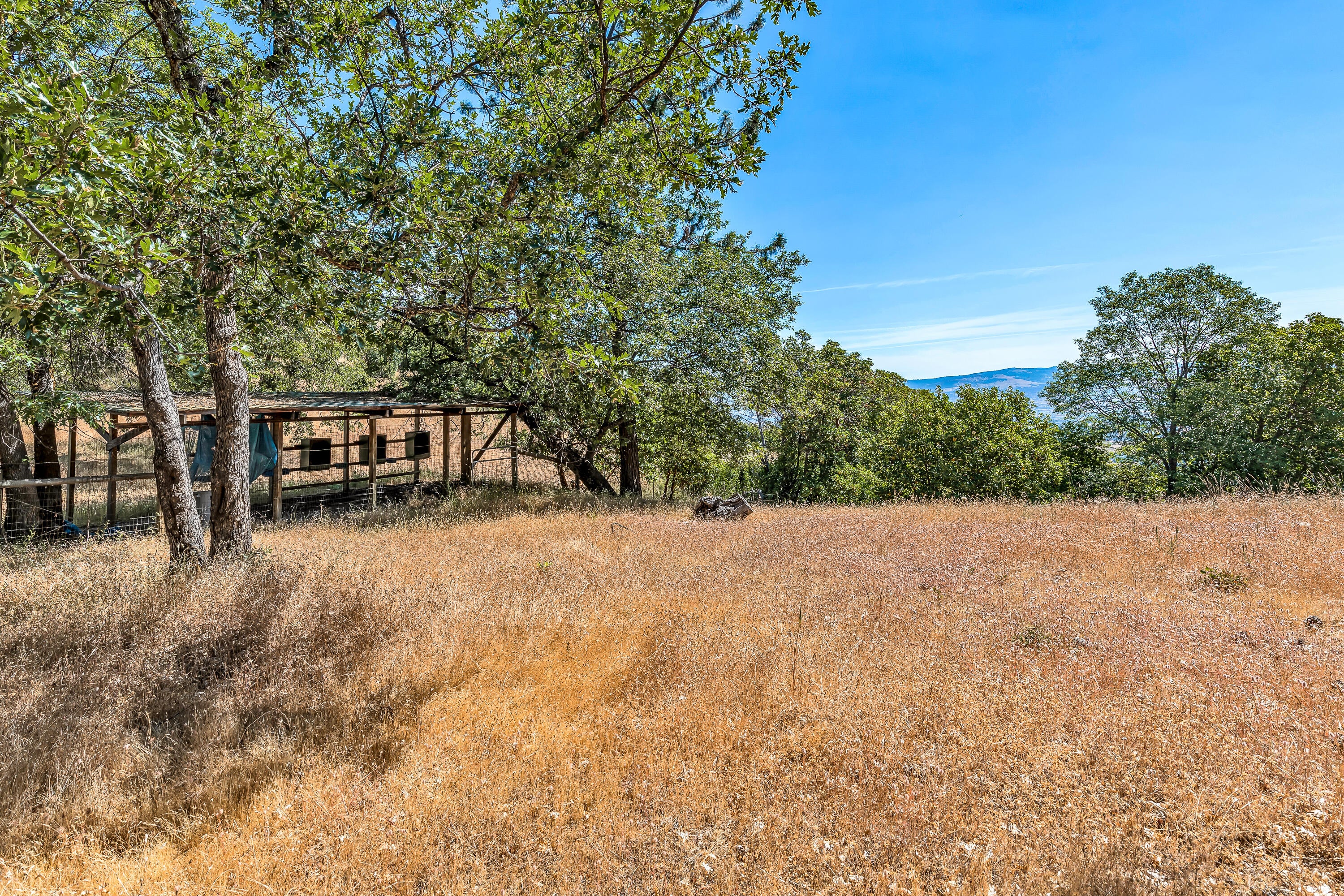 4655 Andrews Road Medford, OR 97501 - Photo 22 of 28 Animal Structure/Field