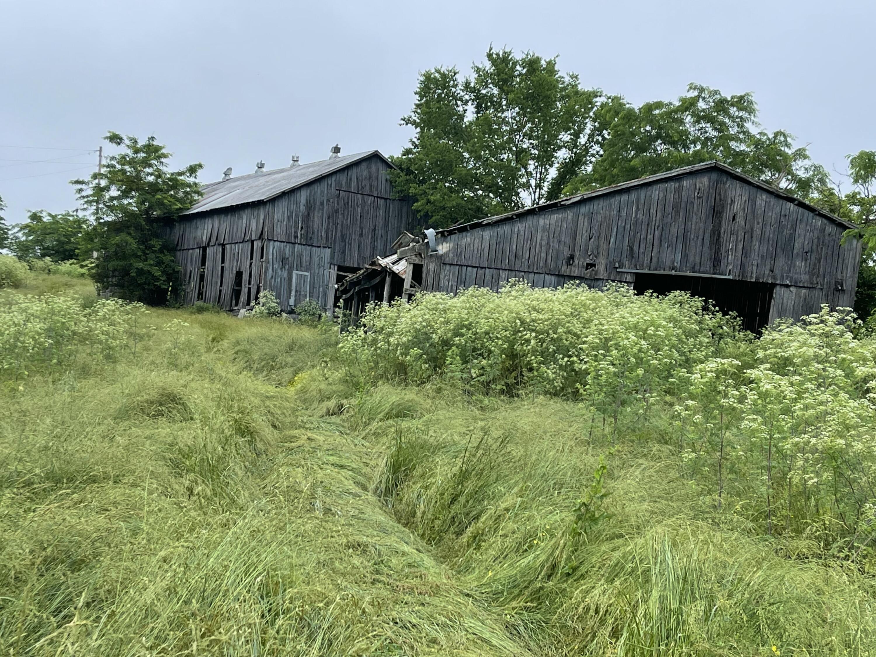 36-ac Long Road Lawrenceburg, KY 40342 - Photo 6 of 10 IMG_5329