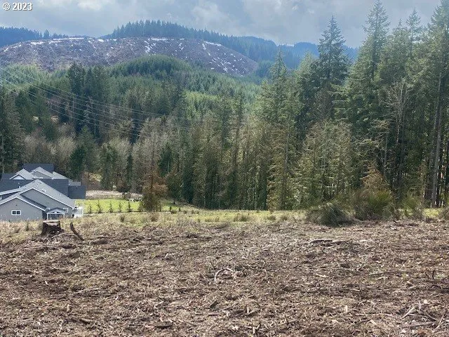 a view of a backyard with green space