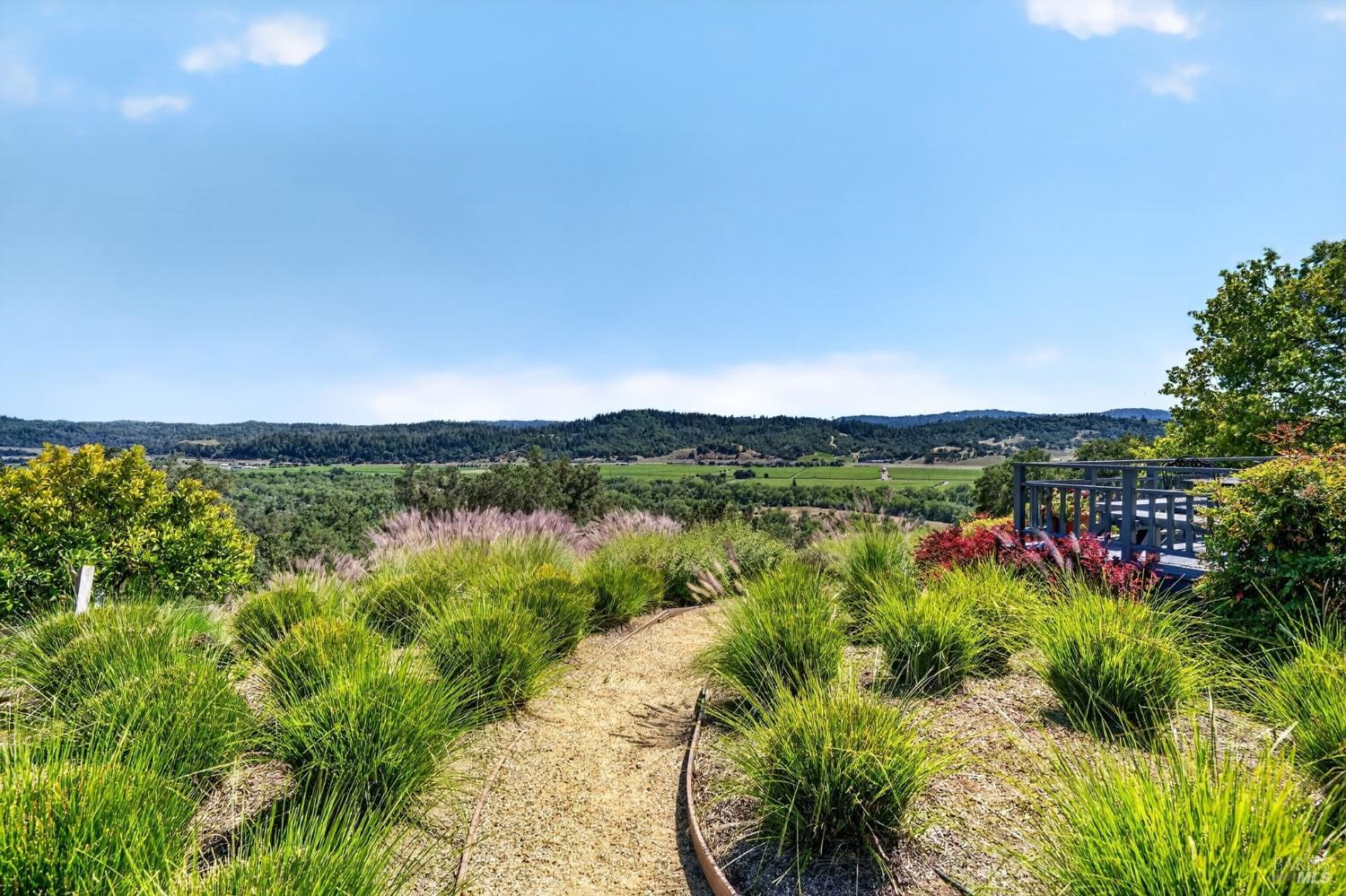 513 Colony Road Geyserville, CA 95441 - Photo 45 of 66