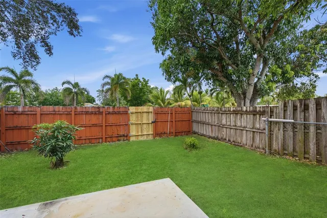 a garden with plants and large trees