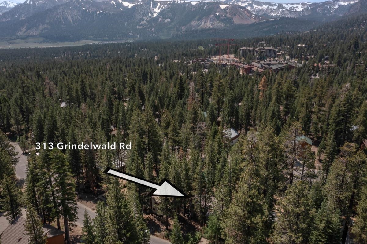 313 Grindelwald Road Mammoth Lakes, CA 93546 - Photo 34 of 49 Gallery Image 34