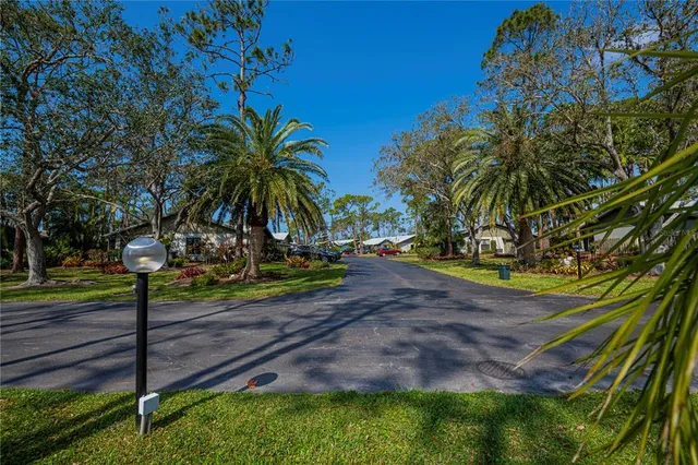a view of a park with palm trees
